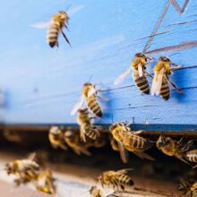 Azienda familiare con senso di responsabilità